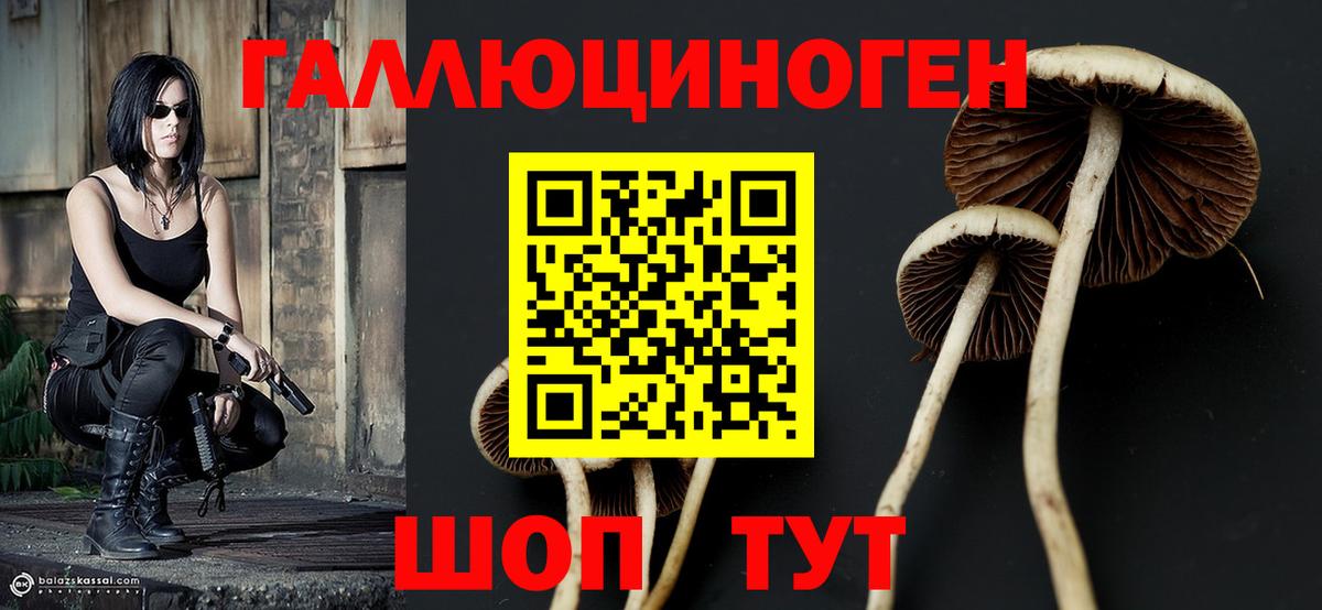 Псилоцибиновые грибы Magic Shrooms Коломна